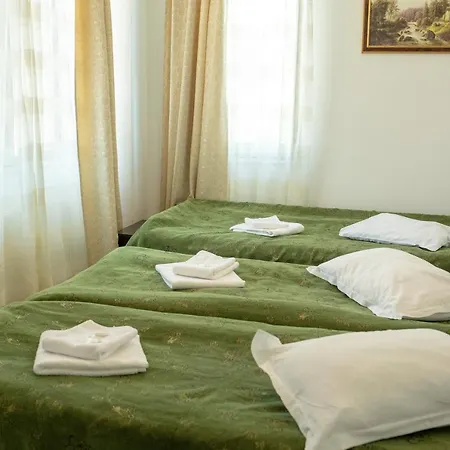 Curtea Brancoveneasca Πανσιόν