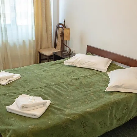 Curtea Brancoveneasca Πανσιόν 2*