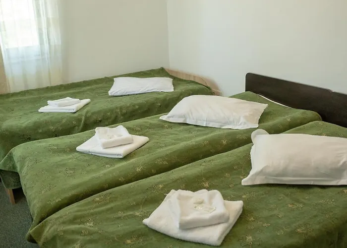 Curtea Brancoveneasca Penzion 2*